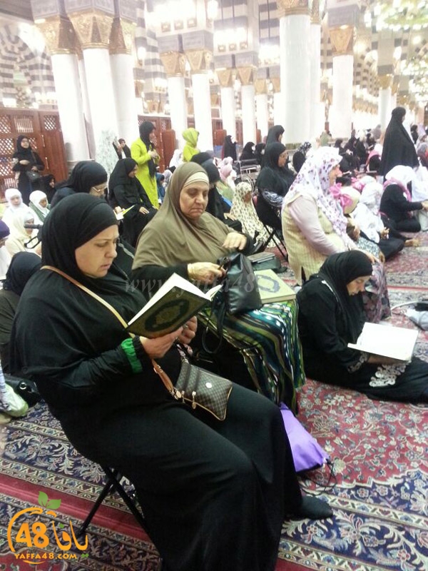 mo3tmreen yfasafa3 (26).JPG